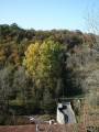 roche_2012_1030593.jpg