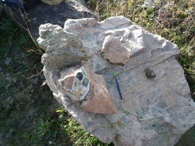 roche_2012_1030552.jpg