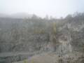 roche_2012_1030516.jpg