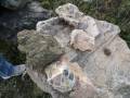 roche_2012_1030518.jpg