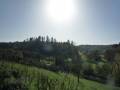 roche_2012_1030579.jpg