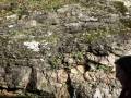 roche_2012_1030581.jpg