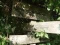 roche_2012_1030618.jpg